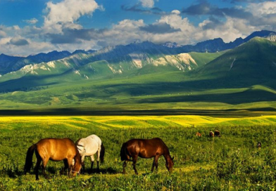 Destruction in Montania